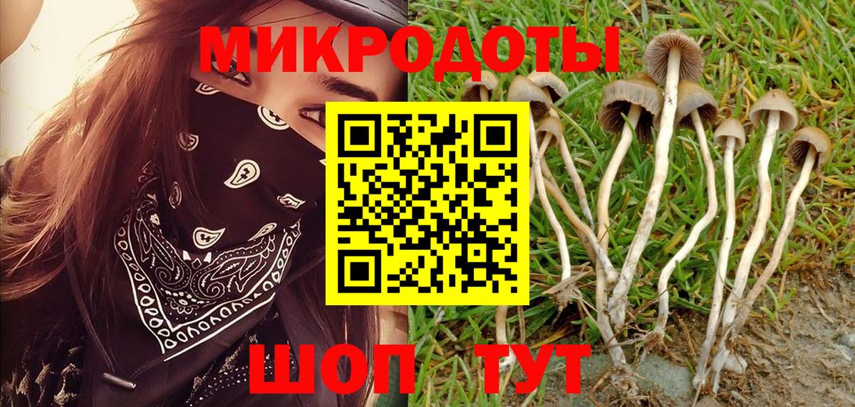 Псилоцибиновые грибы Cubensis Ревда
